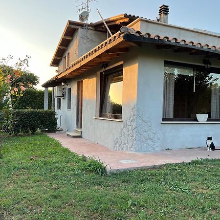 Myosotyss Apartment Zagarolo Exterior foto