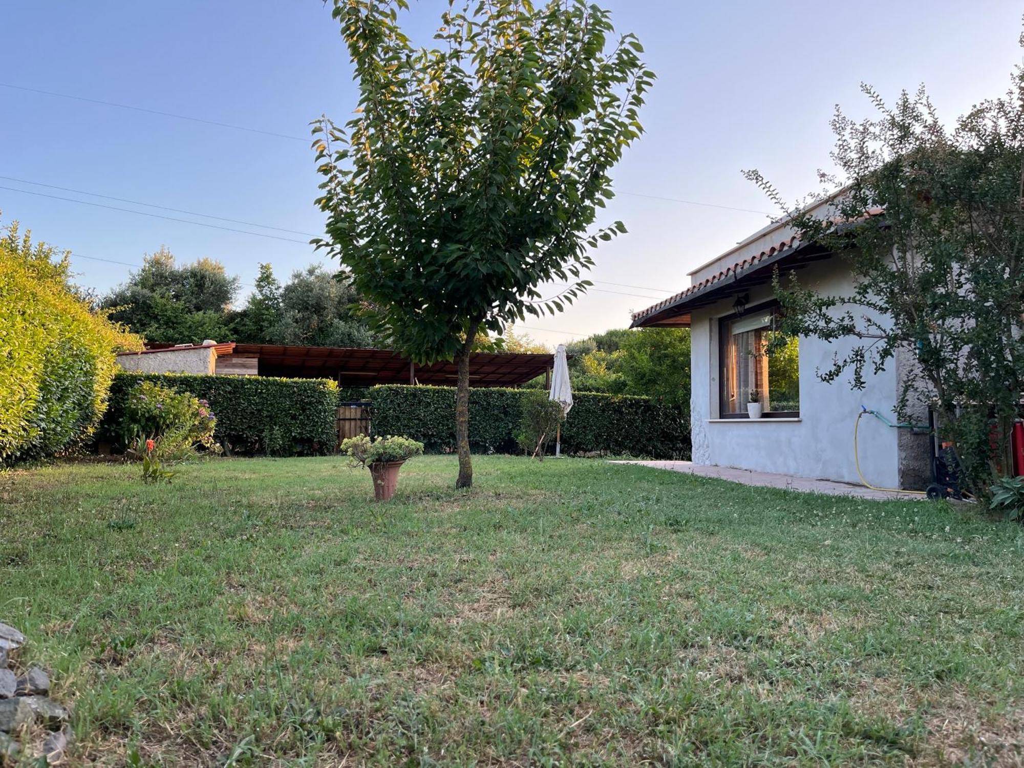 Myosotyss Apartment Zagarolo Exterior foto